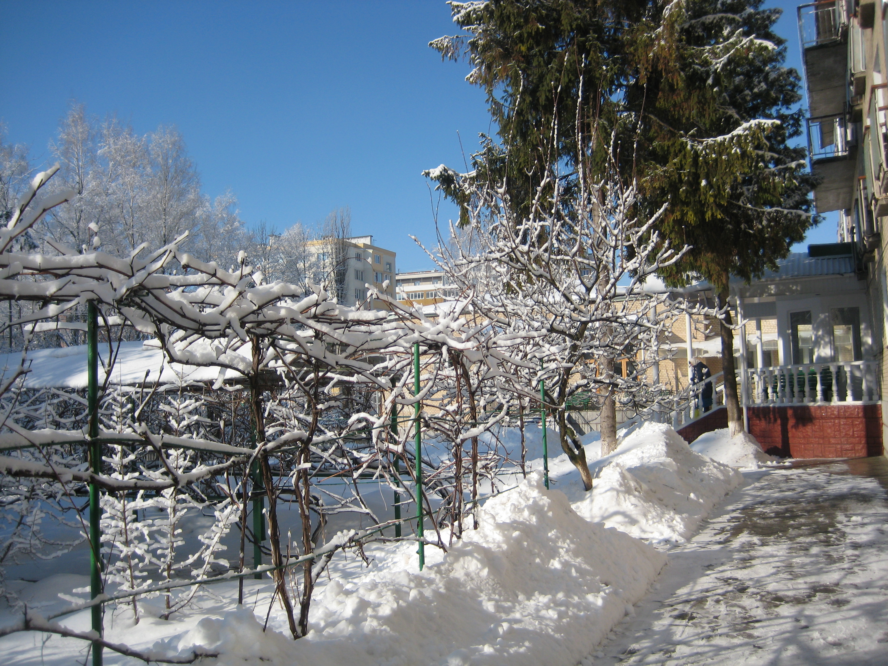 зима