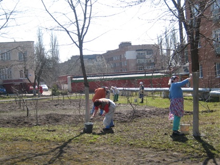 побілка дерев