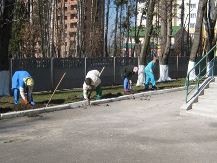 посадка квітів